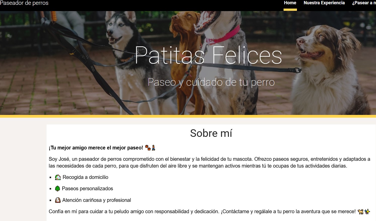 Paseador de Perros